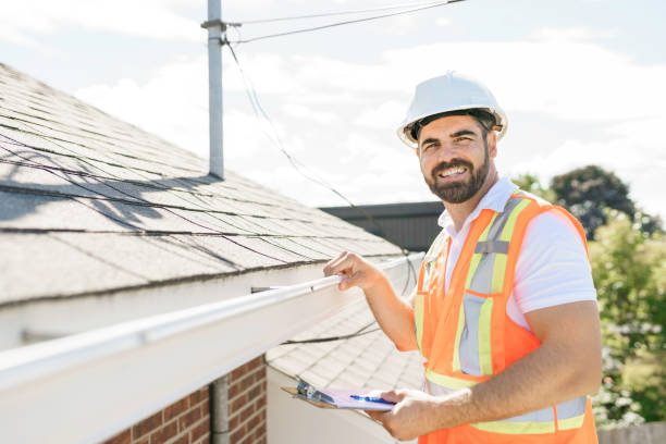 Best Roof Gutter Cleaning  in Hebbronville, TX