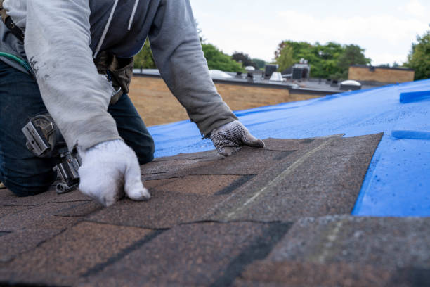 Quick and Trustworthy Emergency Roof Repair Services in Hebbronville, TX