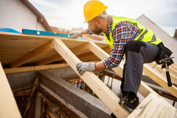 Best Roof Leak Repair  in Hebbronville, TX