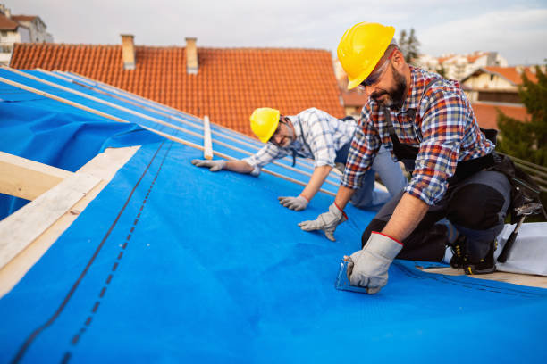 Professional Roofing Contractor in Hebbronville, TX