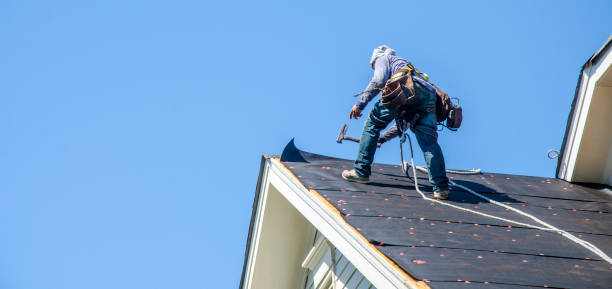 Best Sealant for Roof  in Hebbronville, TX